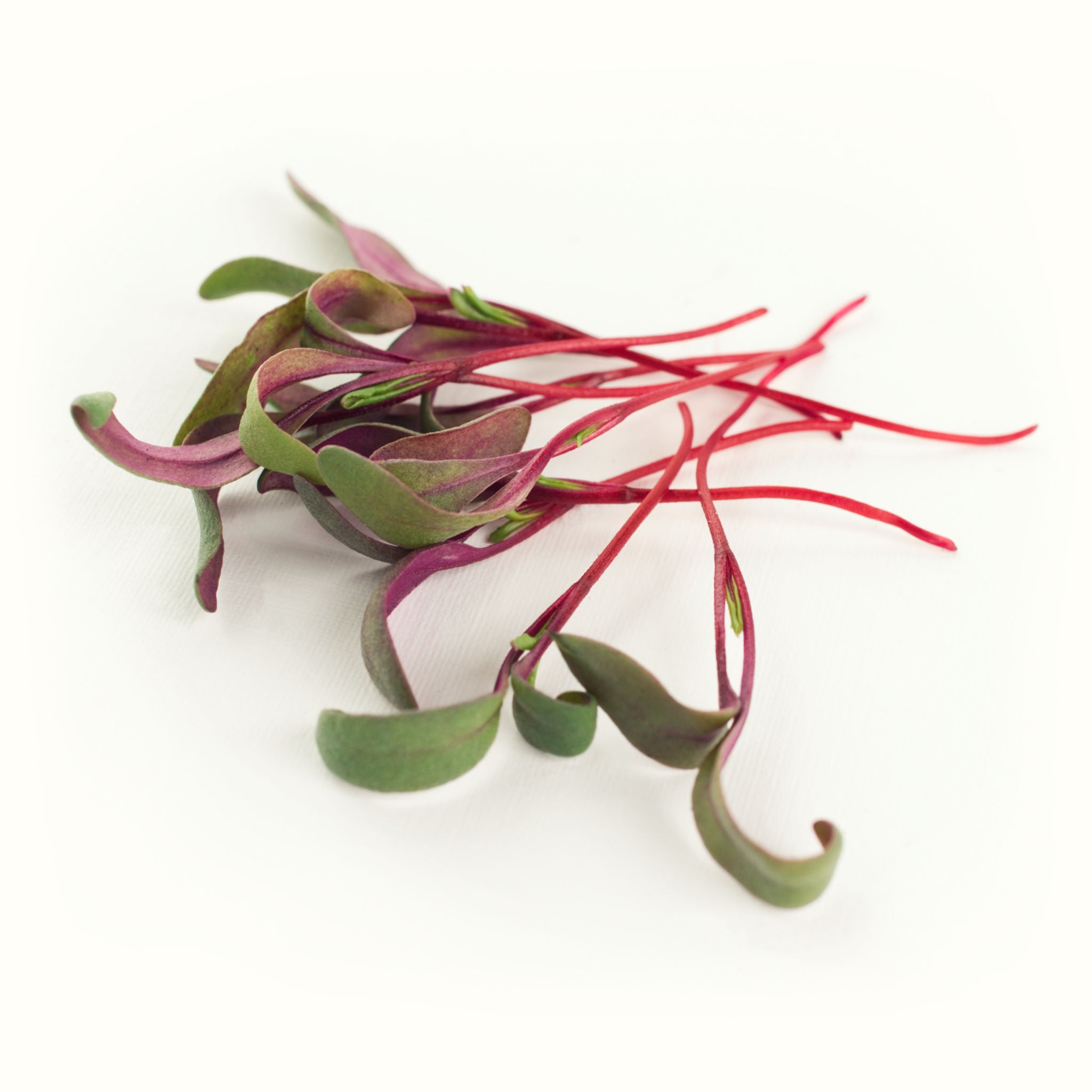 Beetroot Microgreens