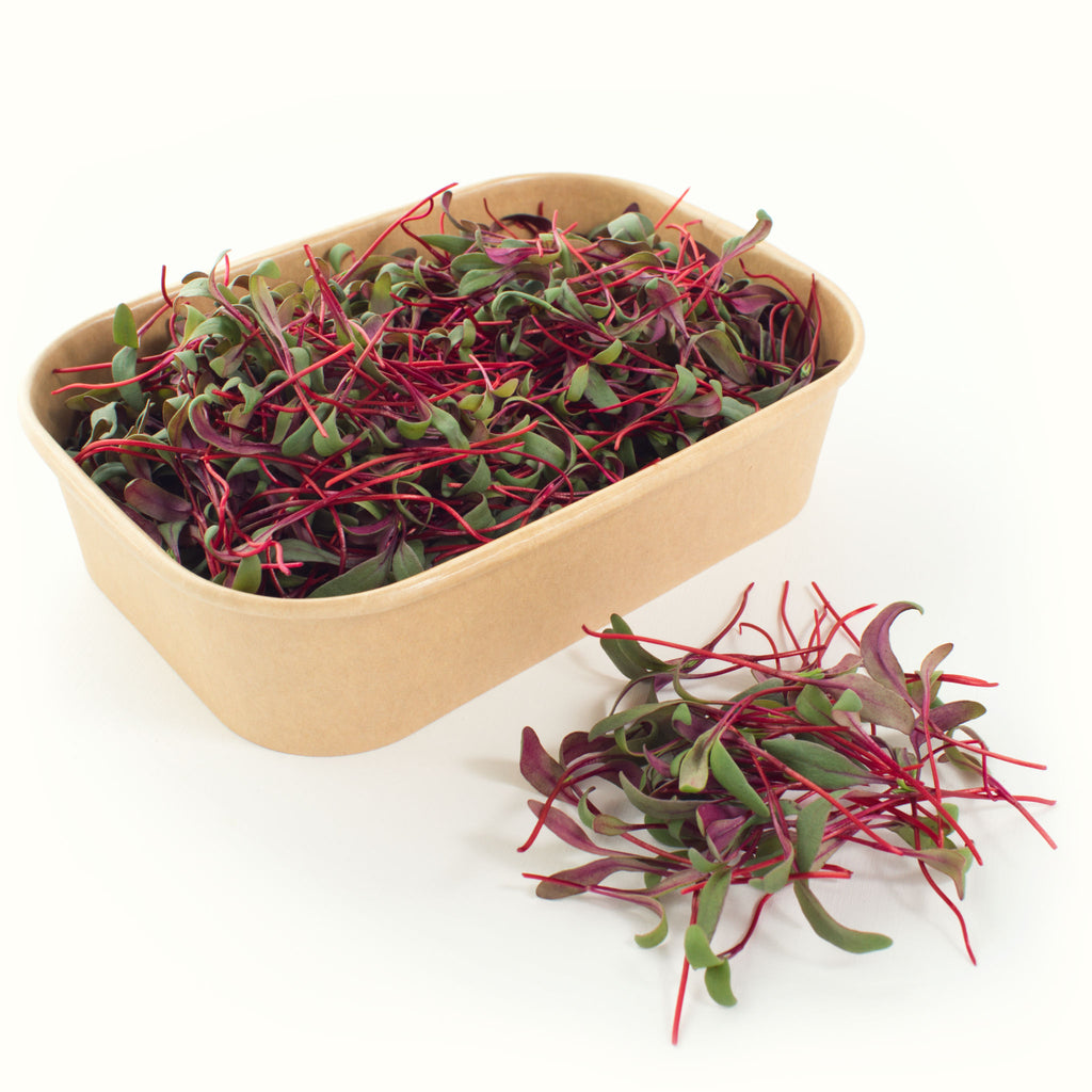 Beetroot Microgreens