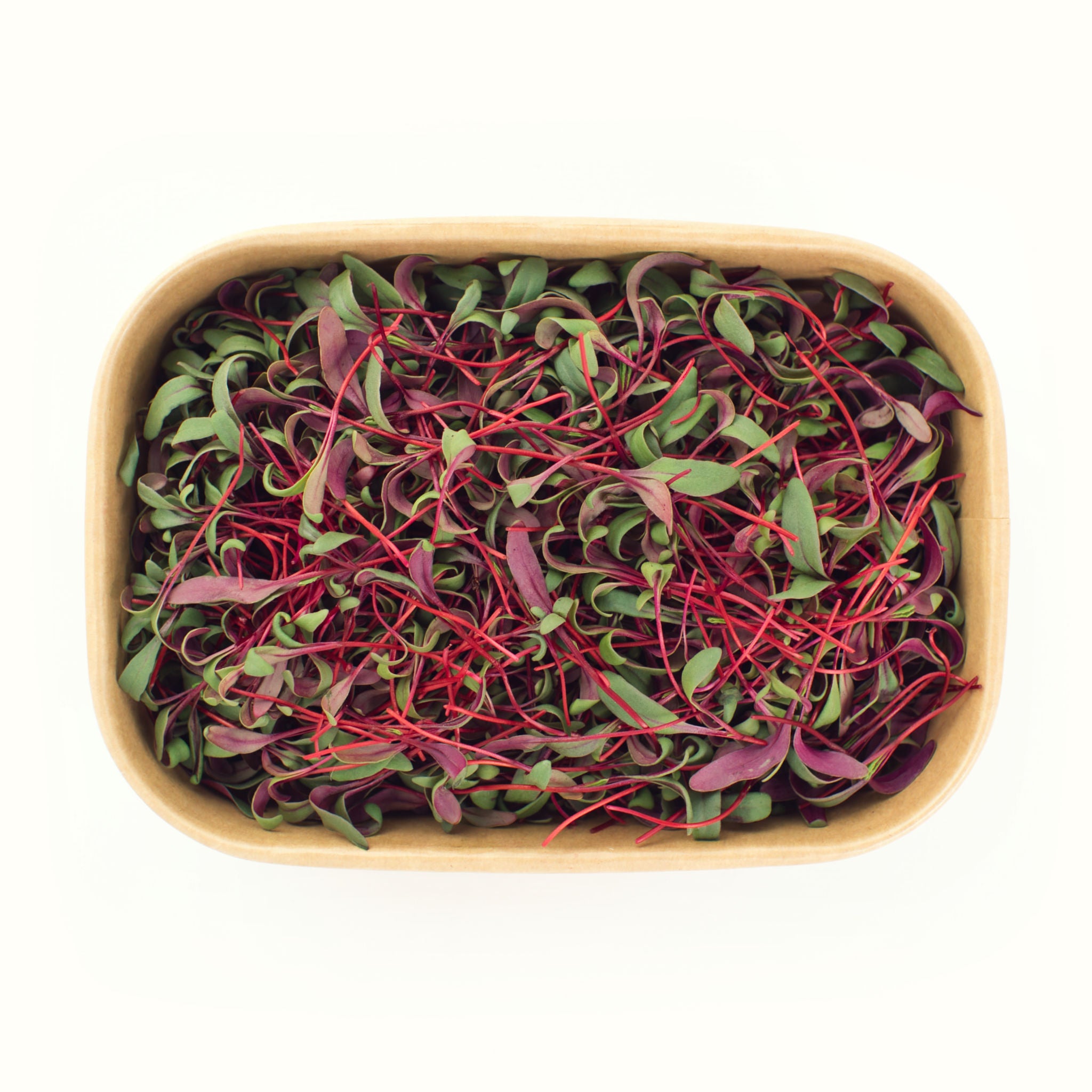 Beetroot Microgreens