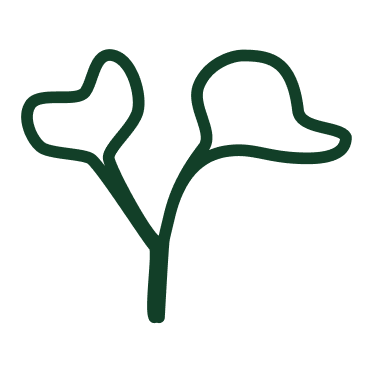 A green coloured icon of a microgreen.