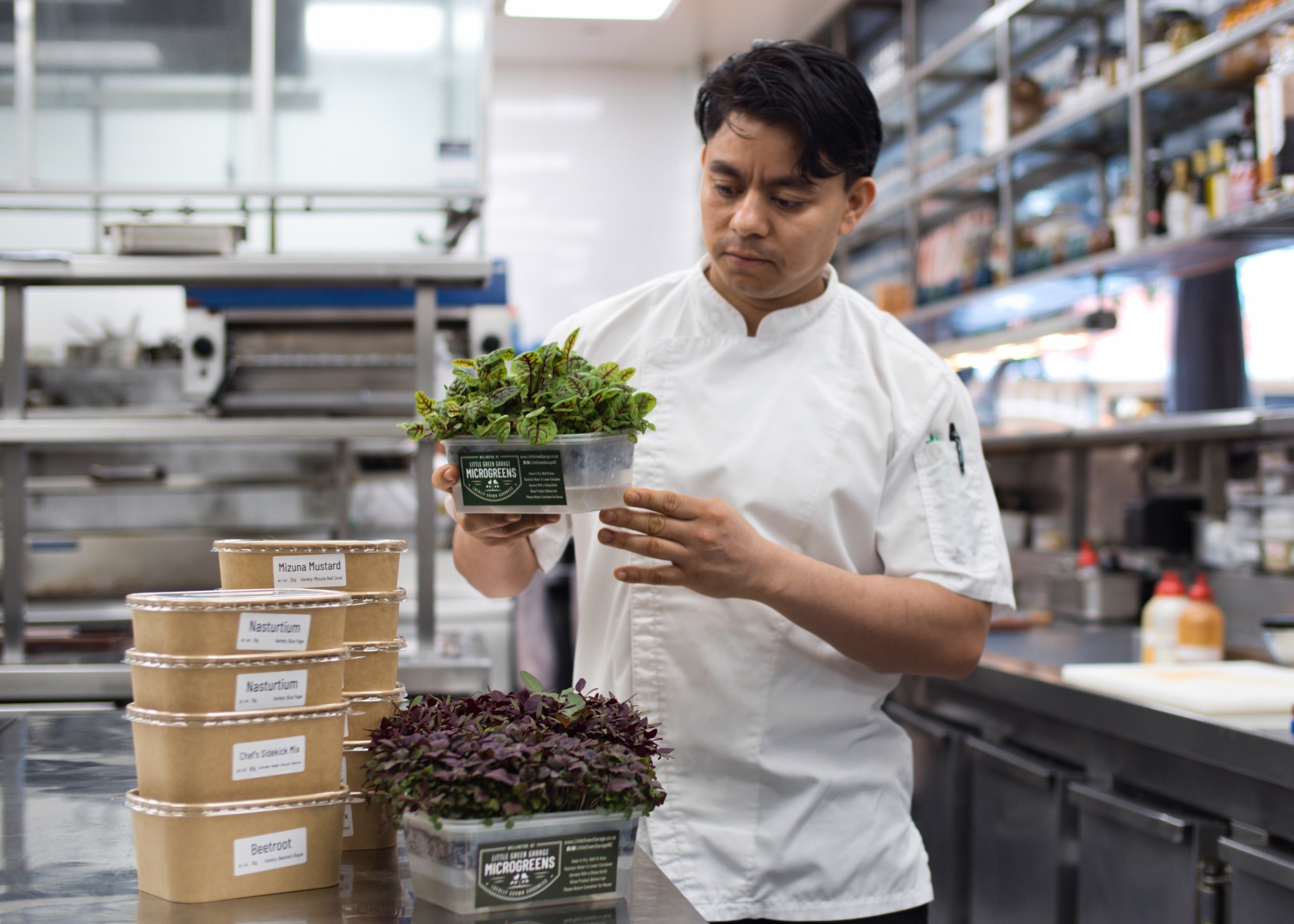 A professional chef looking at a microgreen delivery in a commercial kitchen.