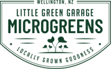 Little Green Garage - Home
