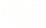 Little Green Garage - Home