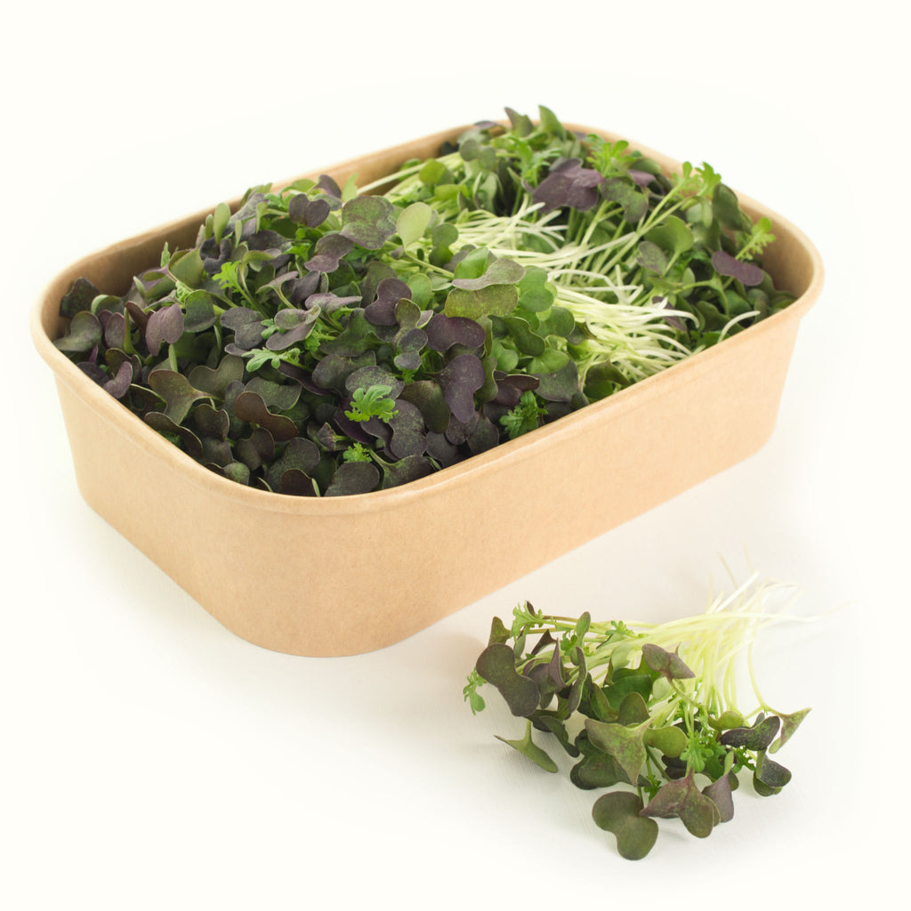 Mizuna Microgreens