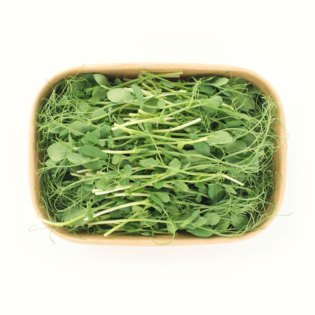 Pea Shoots