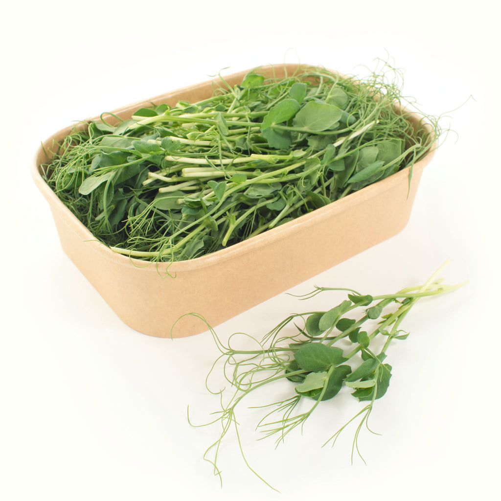 Pea Shoots