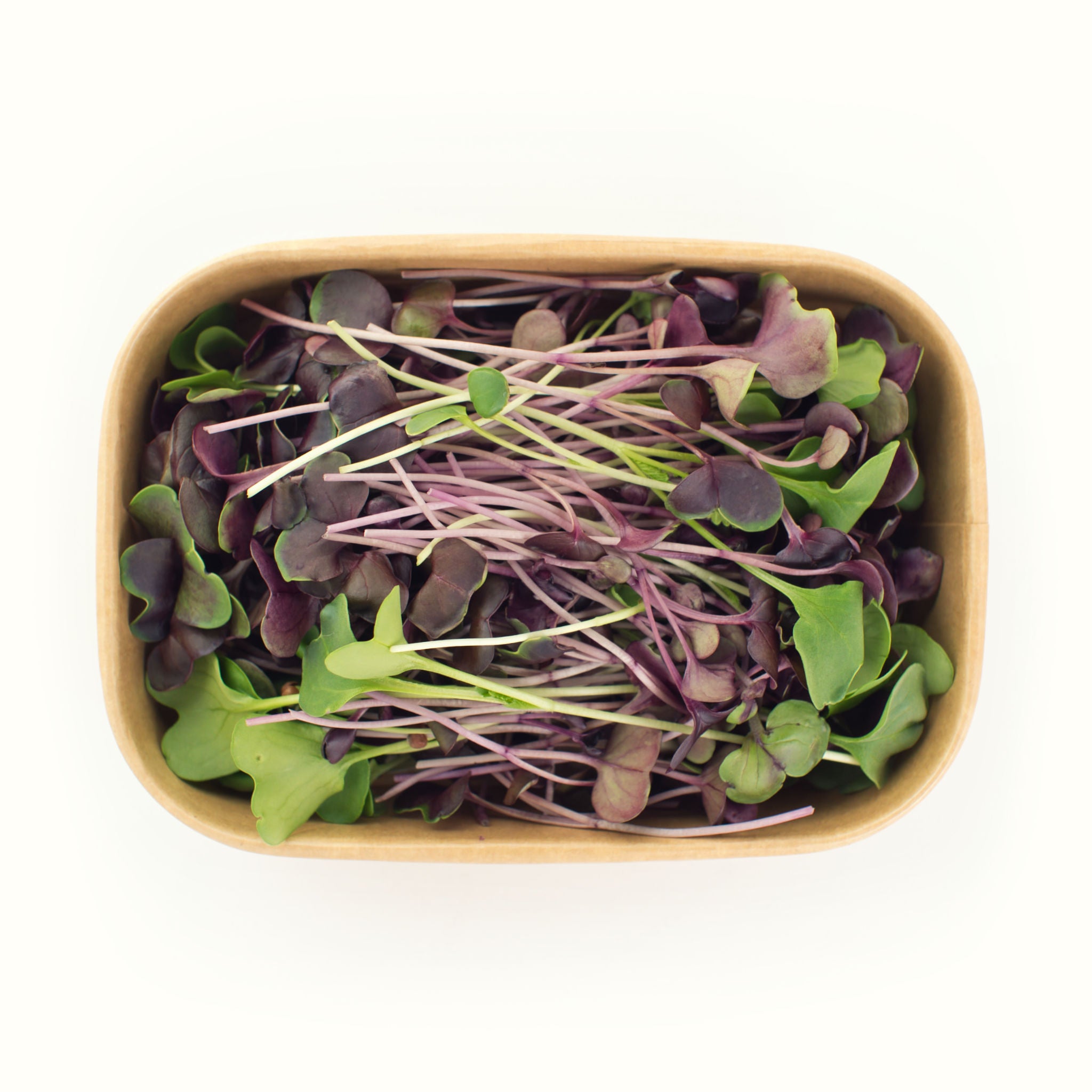 Radish (purple & green)