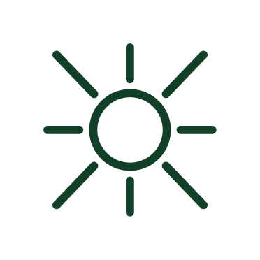 A green coloured icon of the sun.
