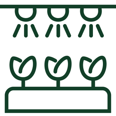 A green coloured icon of plants being sprayed